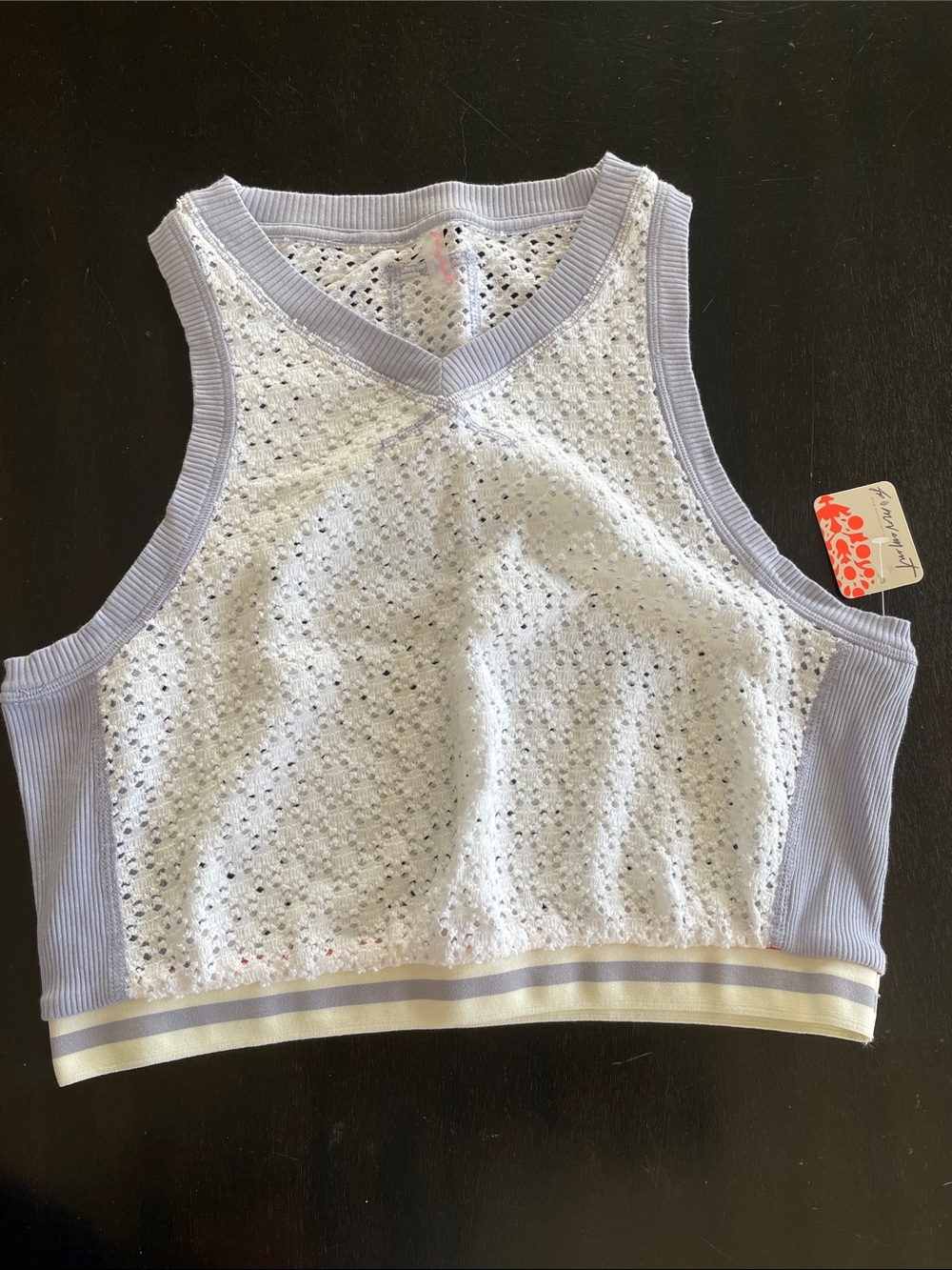 Free People White and Light Lavender Eyelet Cropped Tank